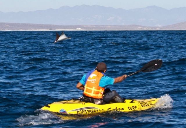 Kayaks en Cabo Pulmo